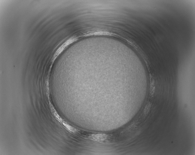 X0000085811282200703301515