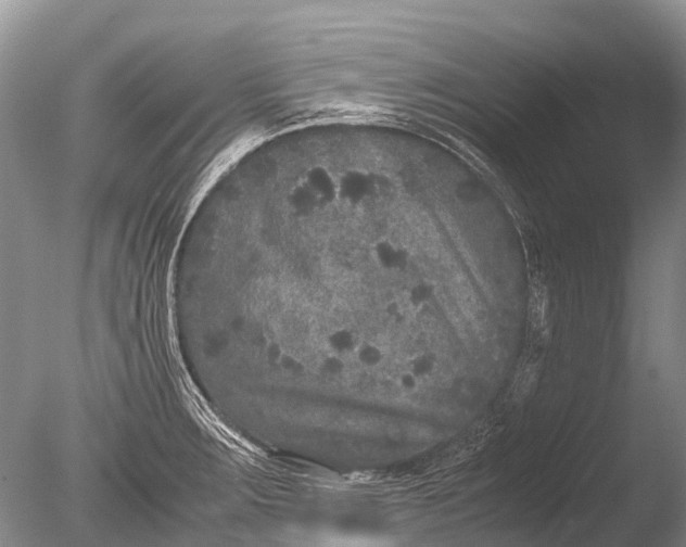 X0000085811283200703301515