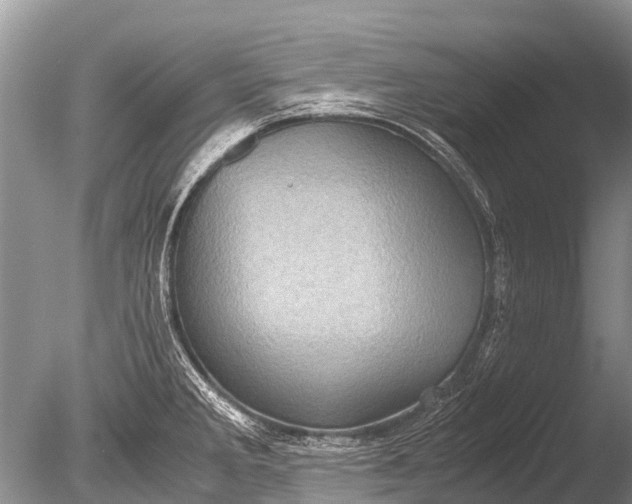 X0000085811285200703301515