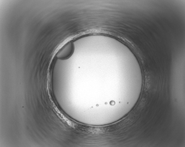 X0000085811286200703301515