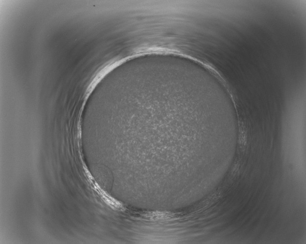 X0000085811287200703301515