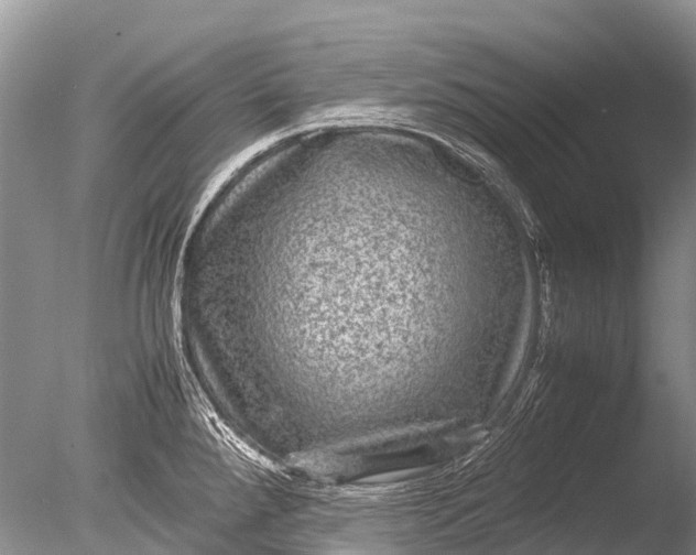 X0000085811288200703301515