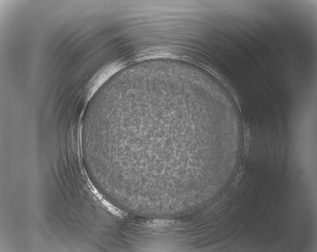 X0000085811290200703301515