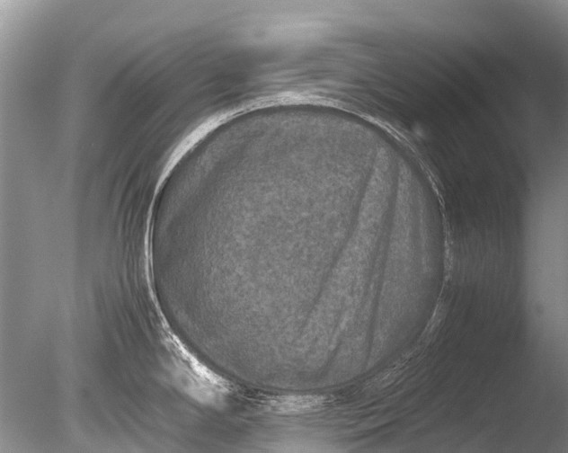 X0000085811294200703301515