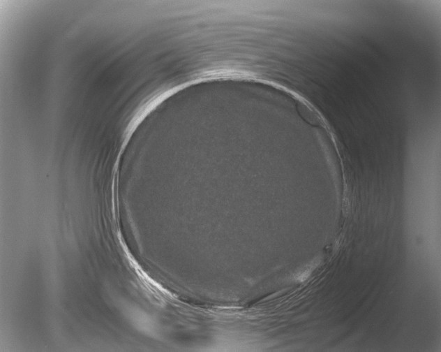 X0000085811295200703301515