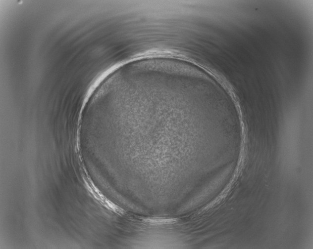 X0000085811296200703301515