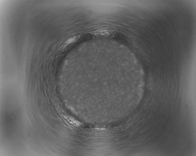 X0000085811297200703301514