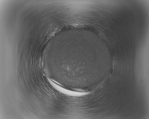 X0000085811298200703301514