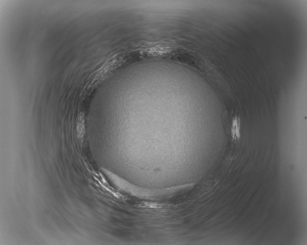 X0000085811299200703301514