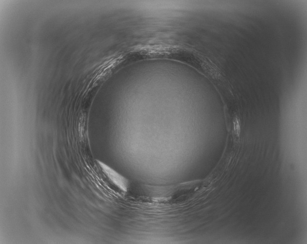 X0000085811300200703301514