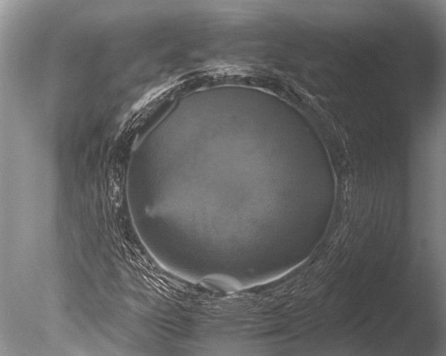 X0000085811303200703301514