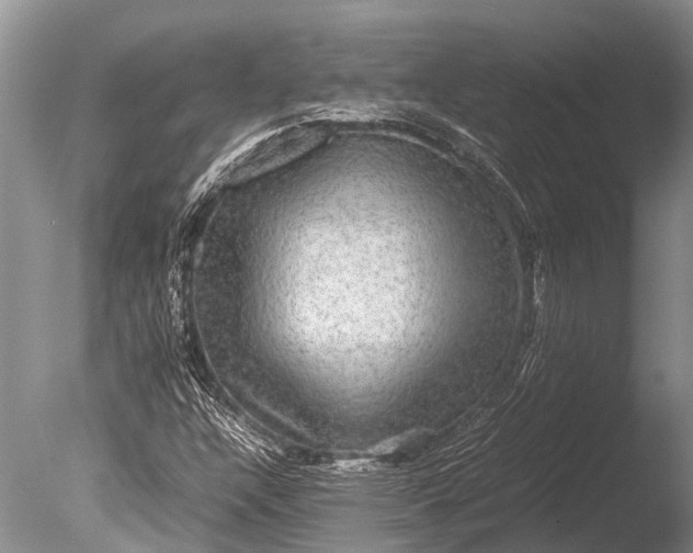 X0000085811304200703301514