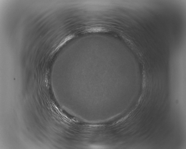 X0000085811305200703301514