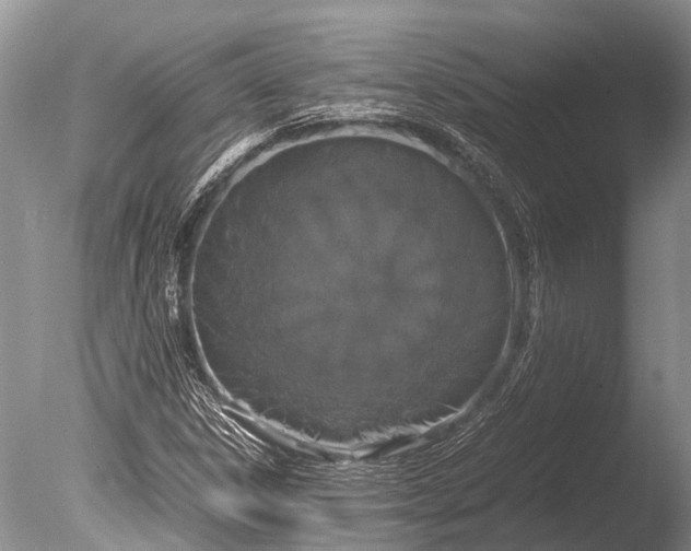 X0000085811306200703301514