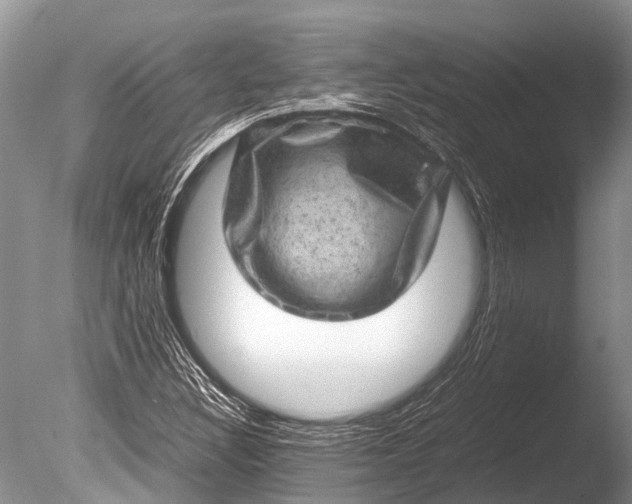 X0000085811308200703301514