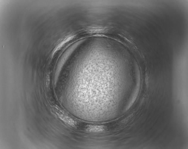 X0000085811309200703301514