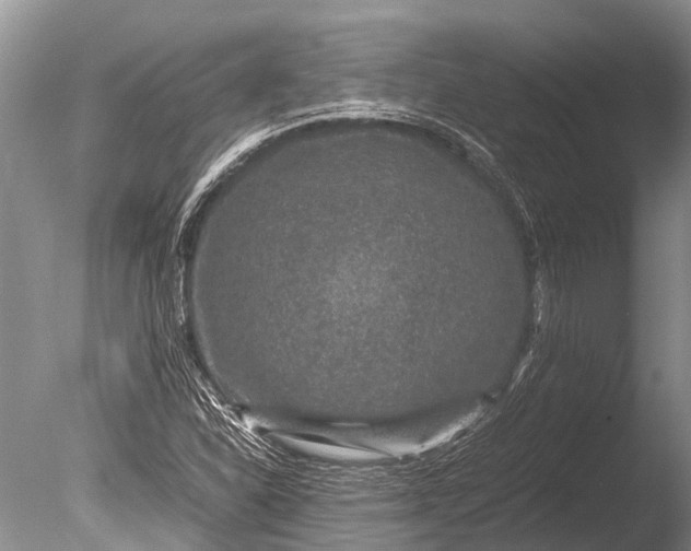 X0000085811310200703301514