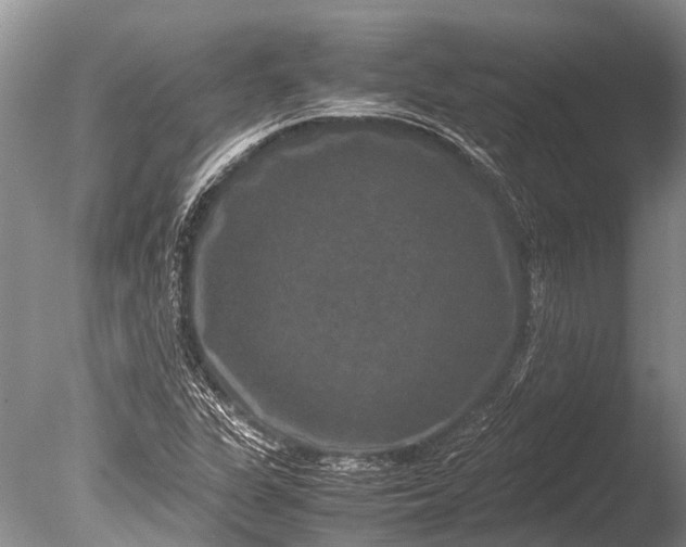 X0000085811311200703301514