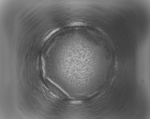 X0000085811313200703301514