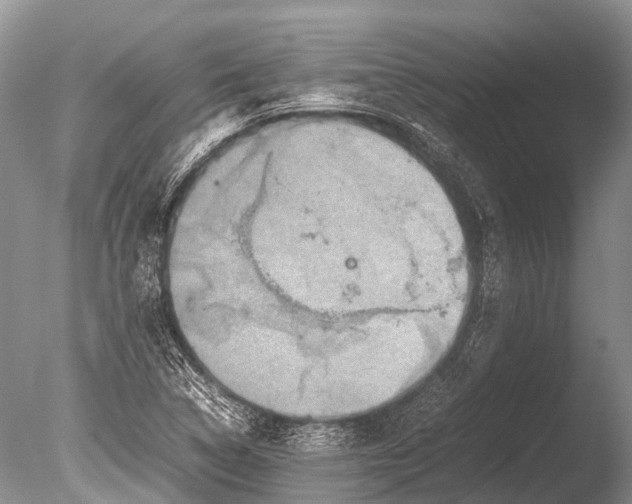 X0000085811314200703301514