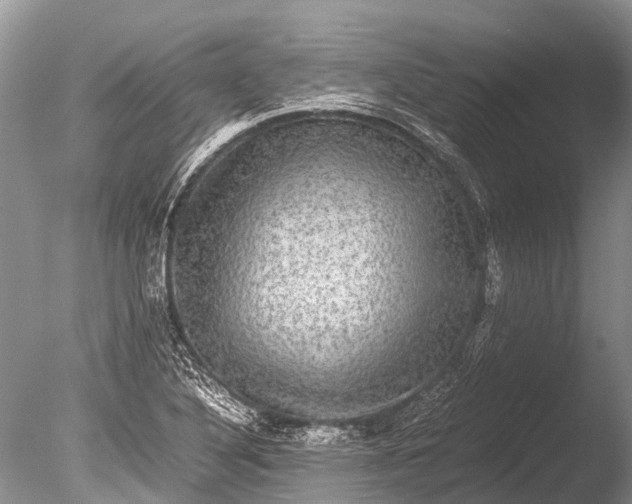 X0000085811316200703301514