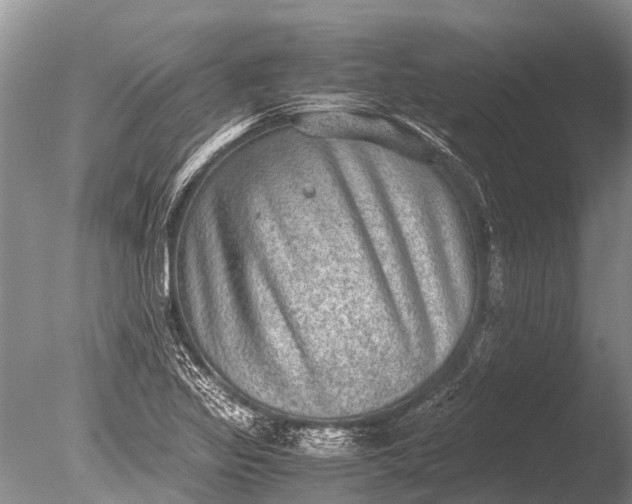 X0000085811317200703301514