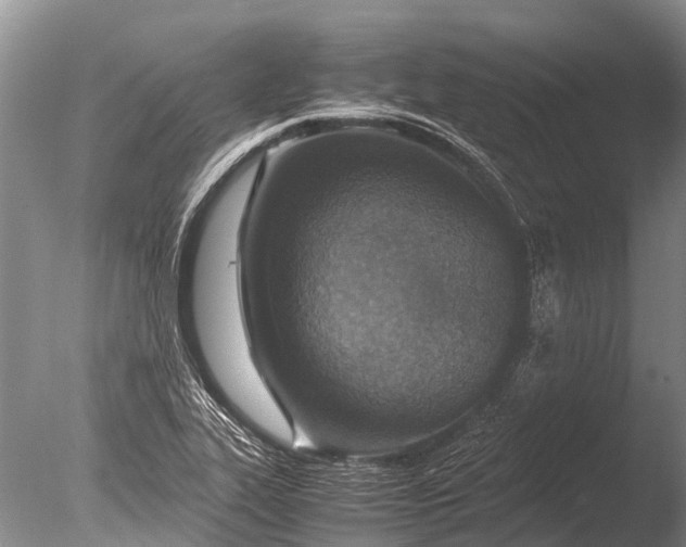 X0000085811319200703301515