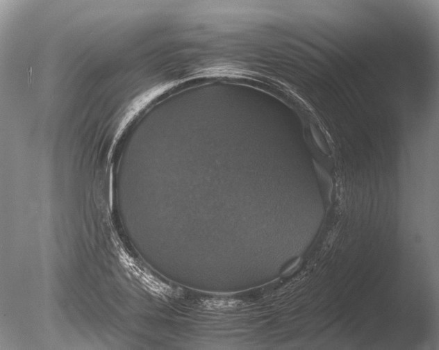 X0000085811323200703301515