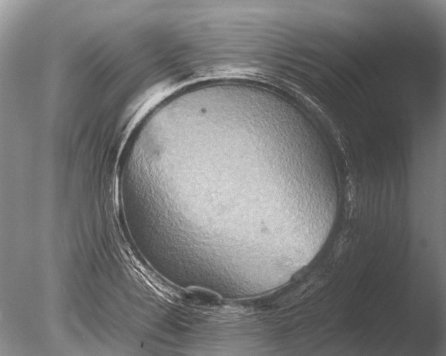 X0000085811324200703301515