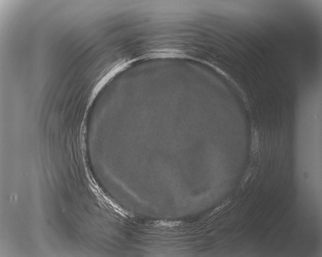 X0000085811325200703301515