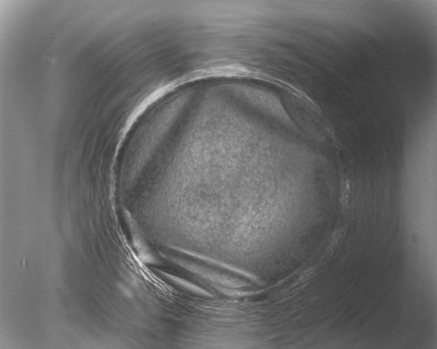 X0000085811326200703301515