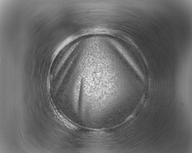 X0000085811328200703301515