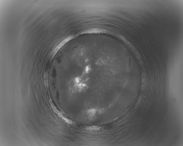 X0000085811329200703301515