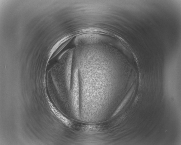 X0000085811330200703301515