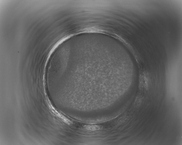 X0000085811331200703301515