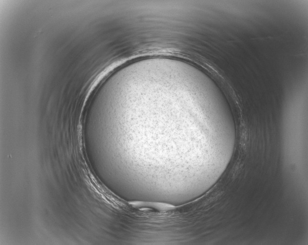 X0000085811332200703301515