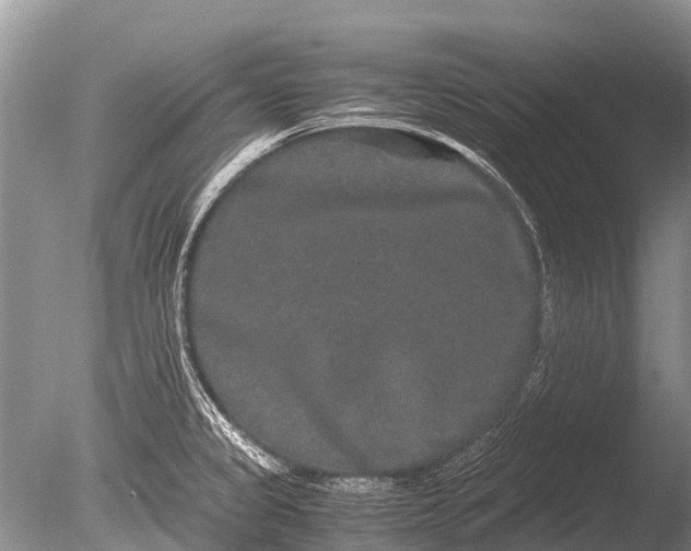 X0000085811333200703301515