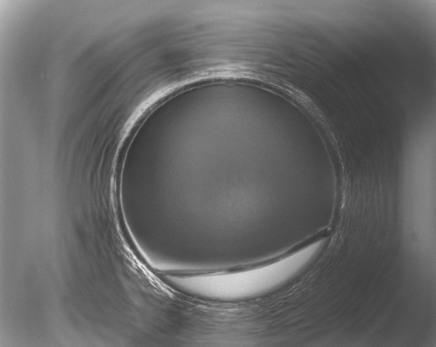 X0000085811334200703301515