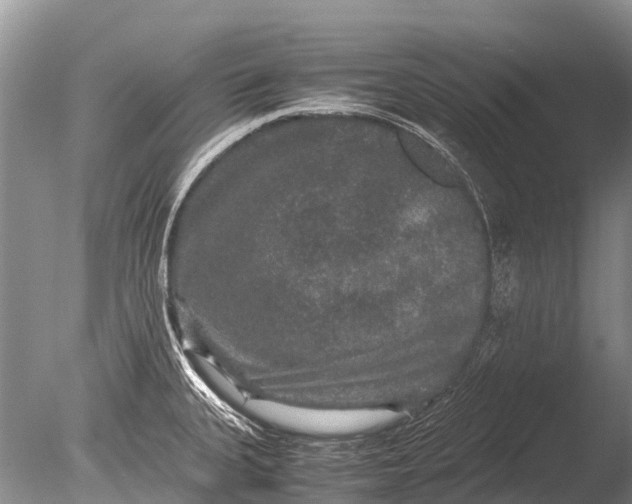 X0000085811335200703301515