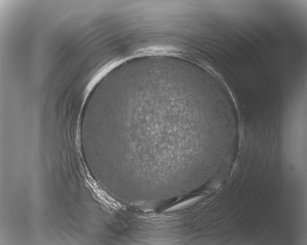 X0000085811336200703301515