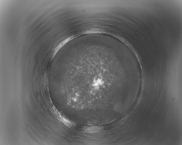 X0000085811337200703301515