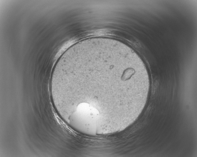 X0000085811338200703301515