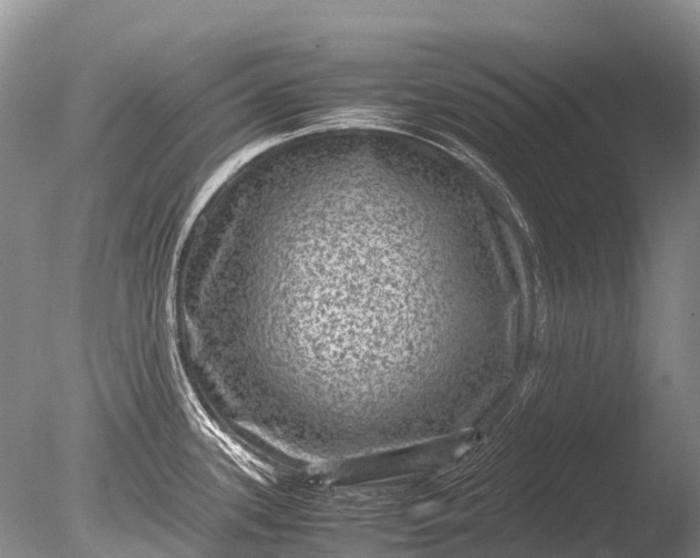 X0000085811339200703301515