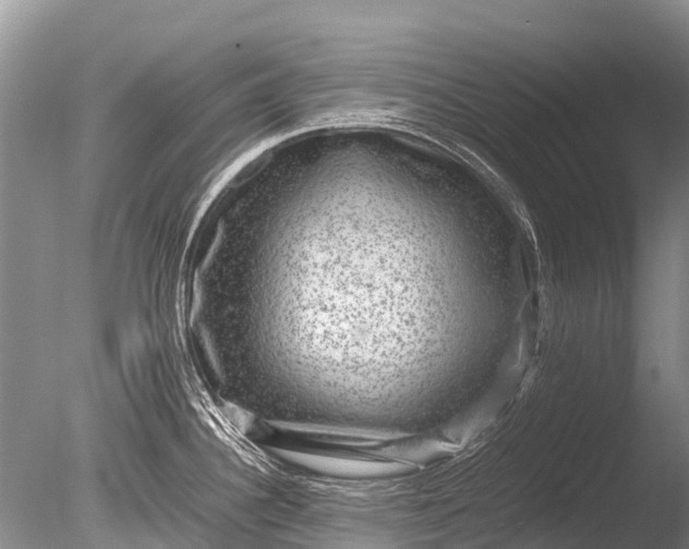 X0000085811340200703301515