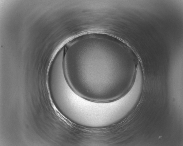 X0000085811342200703301515