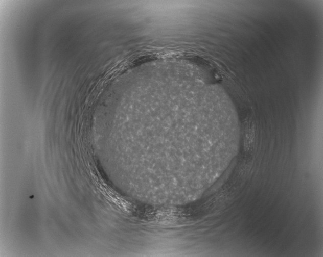 X0000085811345200703301514