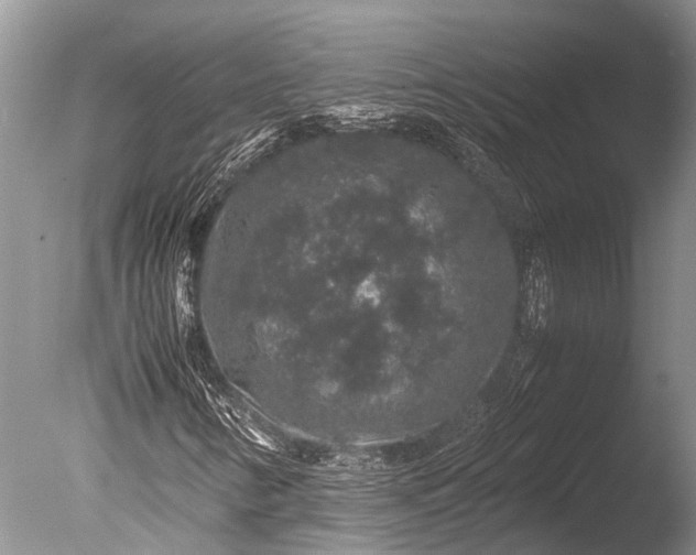 X0000085811346200703301514