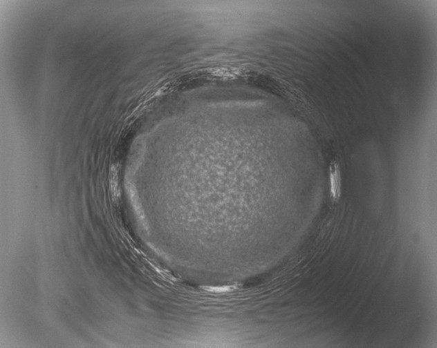 X0000085811347200703301514