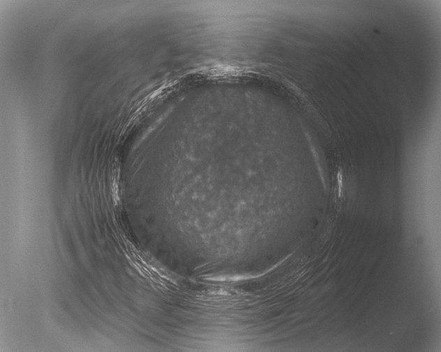 X0000085811348200703301514