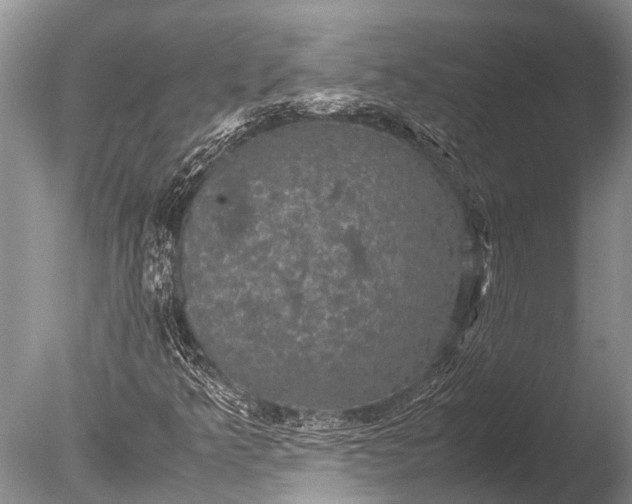 X0000085811349200703301514